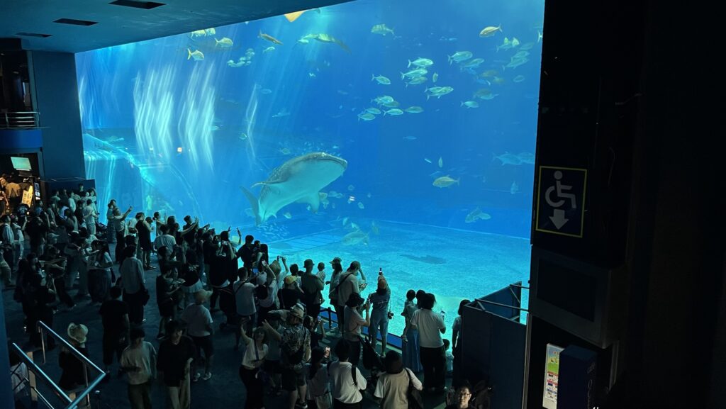 美ら海水族館 0歳 赤ちゃん