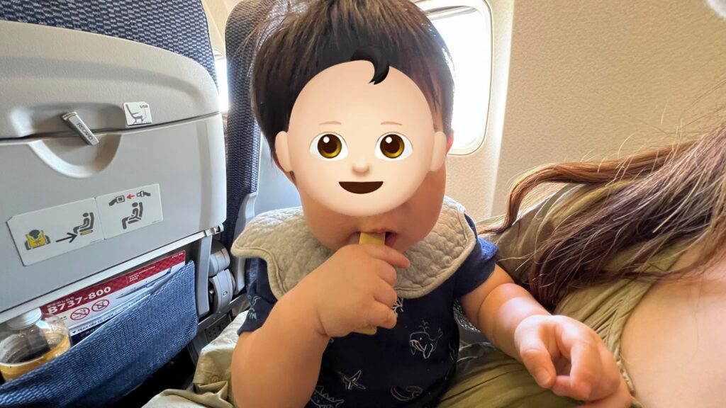 0歳児　飛行機
