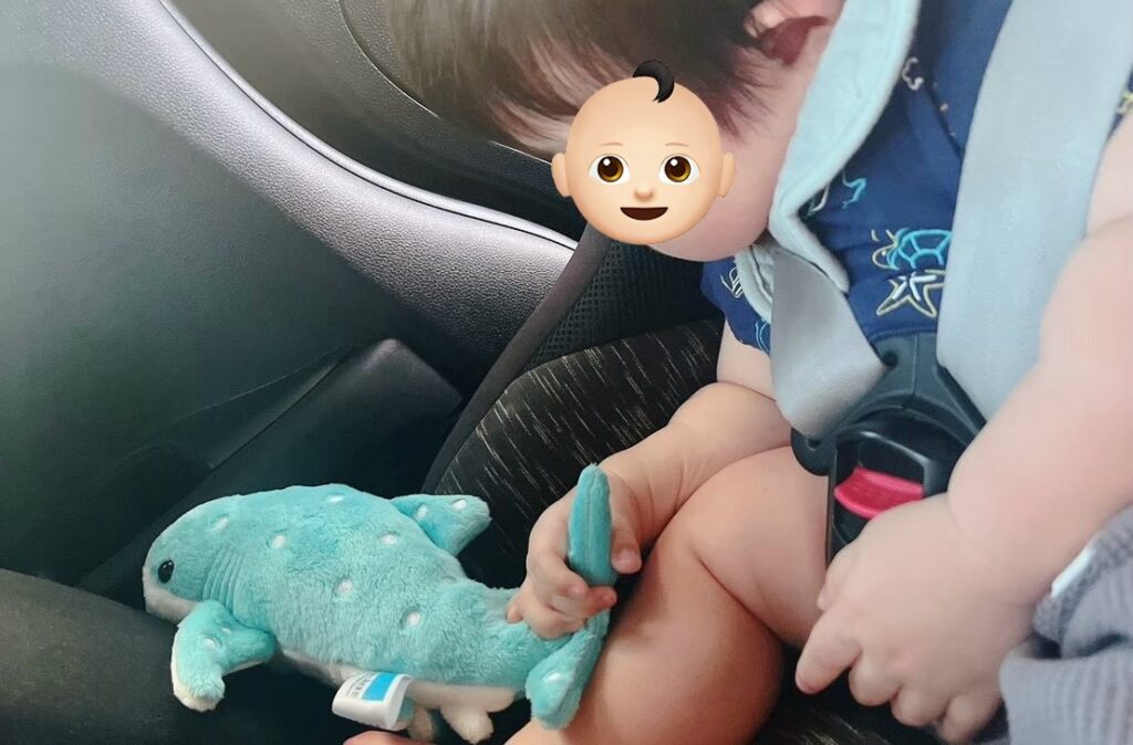 美ら海水族館　赤ちゃん